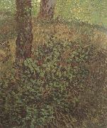 Vincent Van Gogh Undergrowth (nn04) USA oil painting reproduction